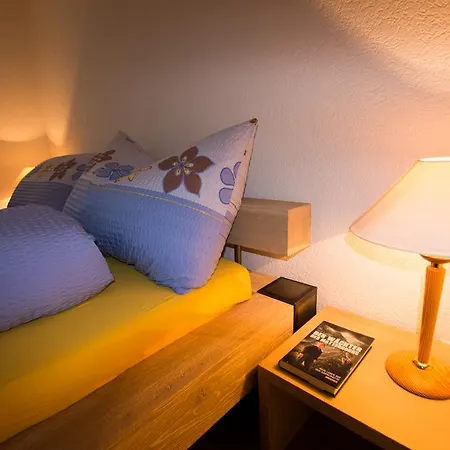 Bellevue Apartment *